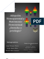 Matrimonio Homosexual y Adopcion Homoparental