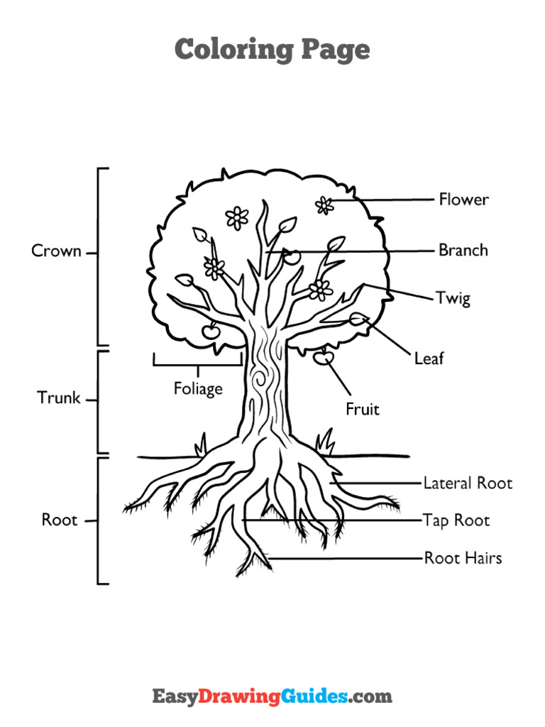 tree part | PDF