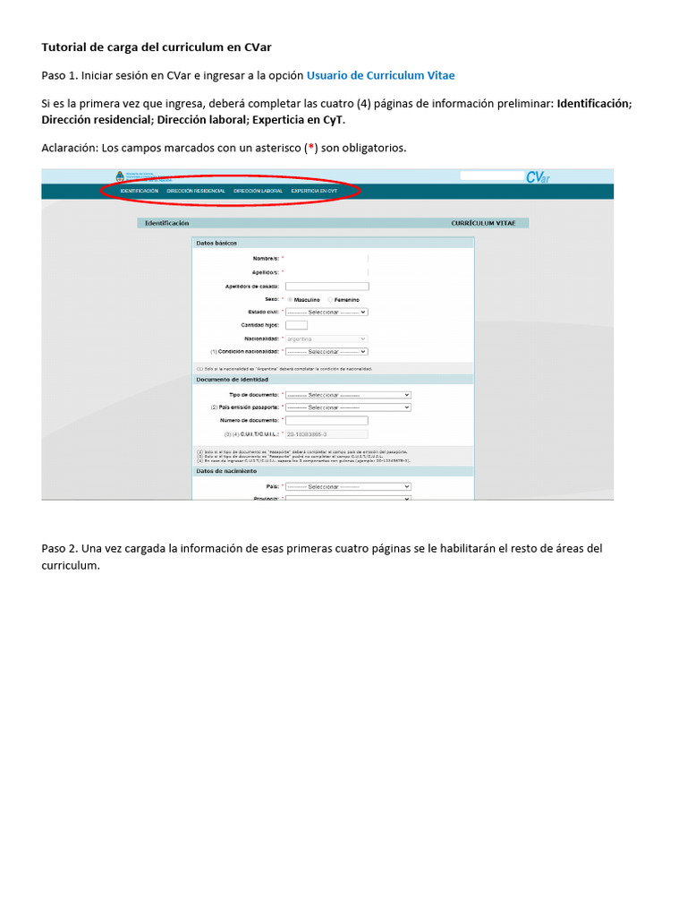4. Tutorial de Carga de Datos Preliminares en CVar | PDF