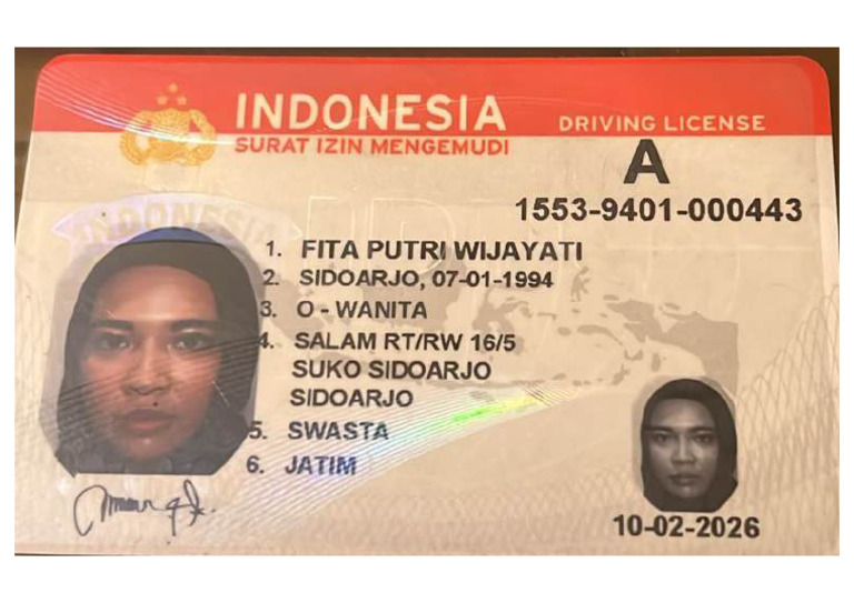Sim | PDF