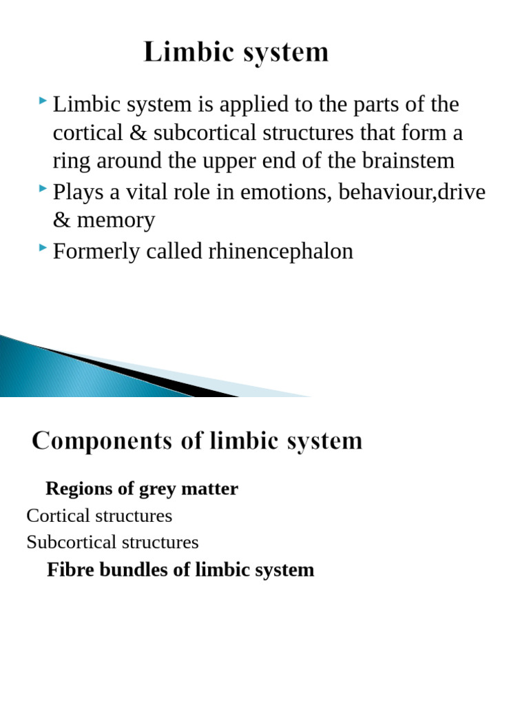 Diencephaon and Limbic System | PDF | Hippocampus | Limbic System