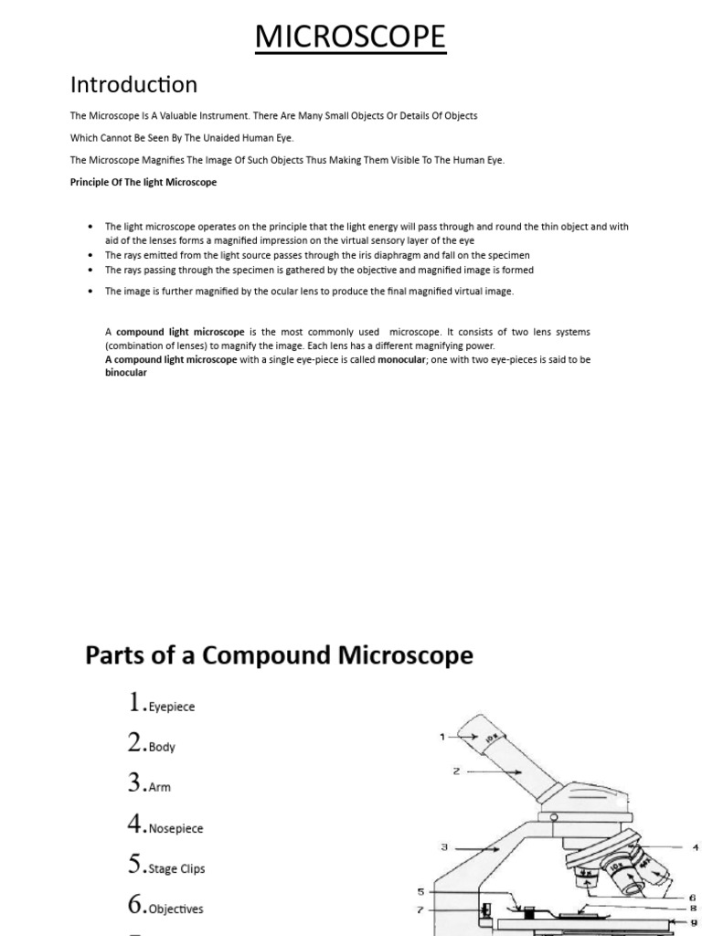 Understanding Light Microscope Components | PDF | Electromagnetic ...