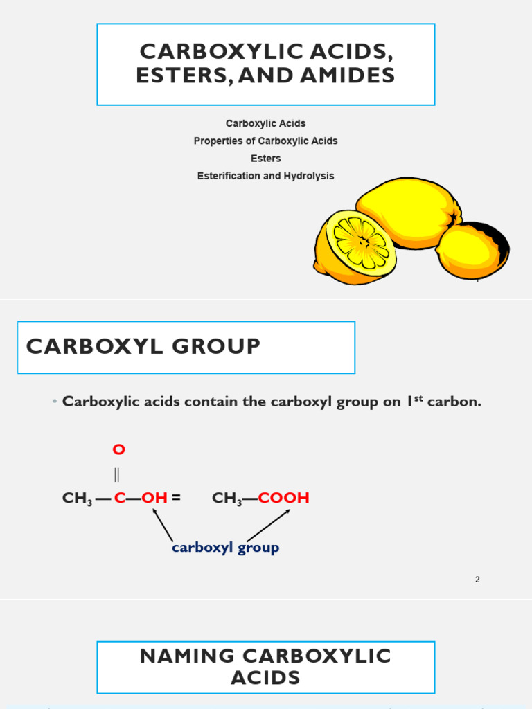 Carboxylic Acids, Esters, Amides Guide | PDF | Ester | Amide