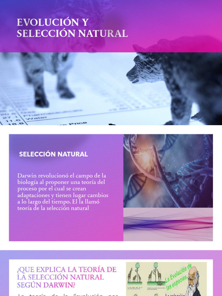 Teoría de la Selección Natural de Darwin | PDF | Seleccion natural ...