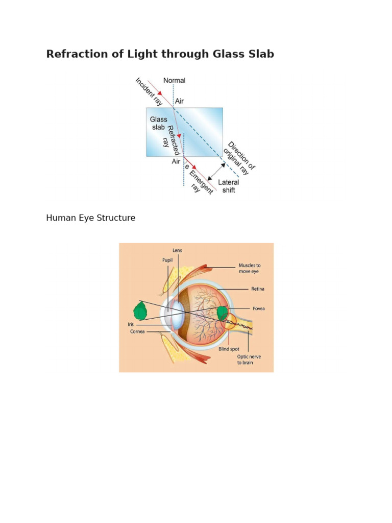 Important Diagram of Science | PDF