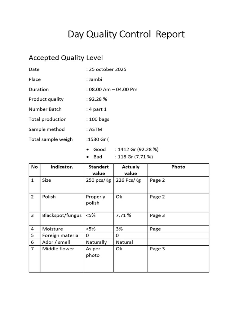 Day Quality Control Report Jambi 2025 | PDF