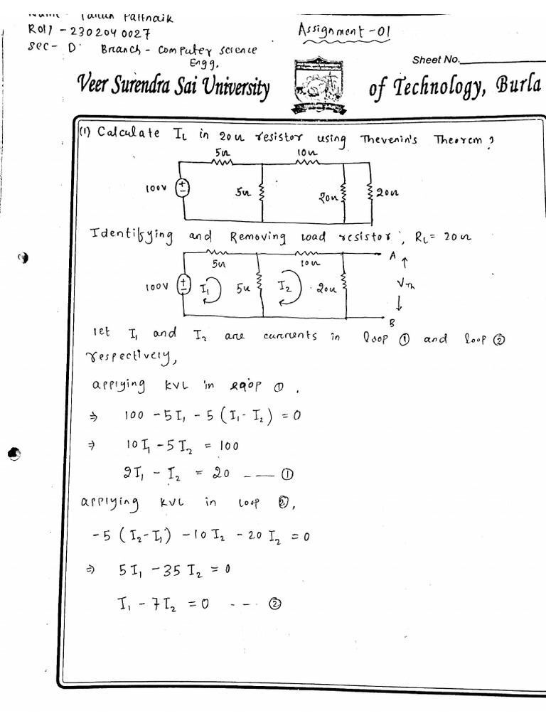 Bee Assignment | PDF