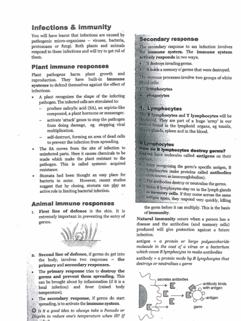 Immunity Notes | PDF