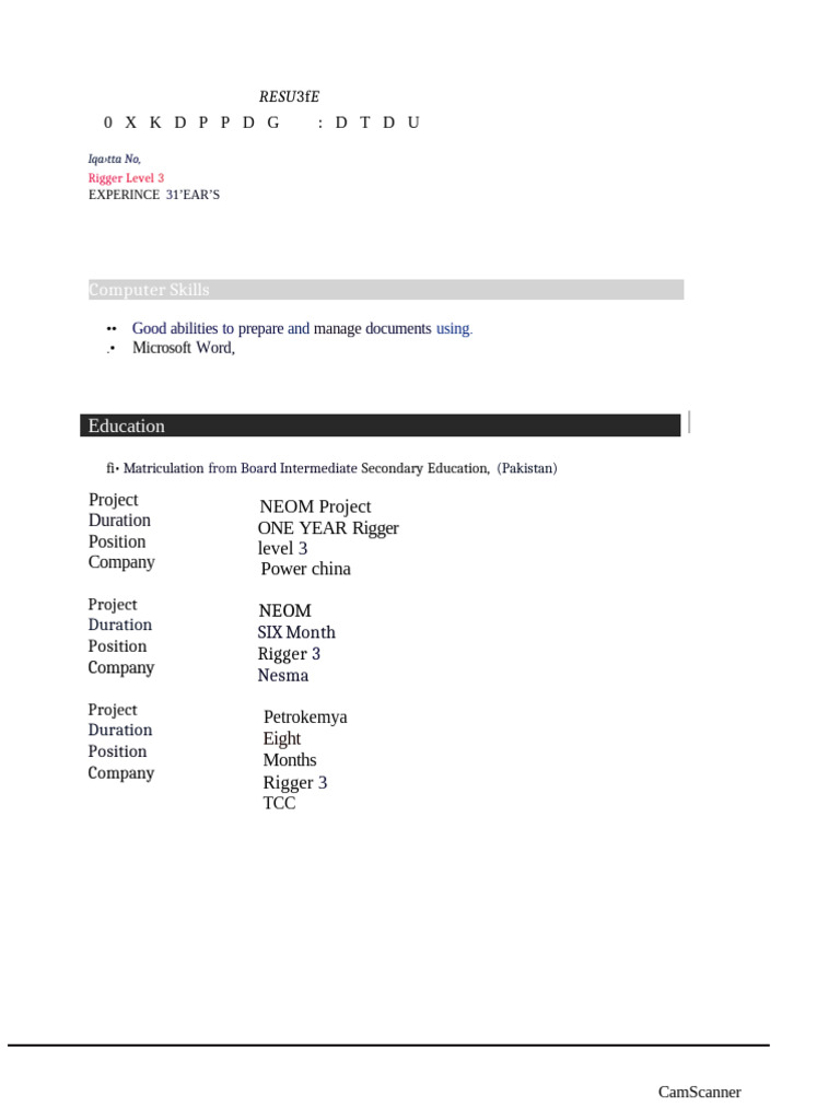 Rigger Level 3 Resume and Skills | PDF