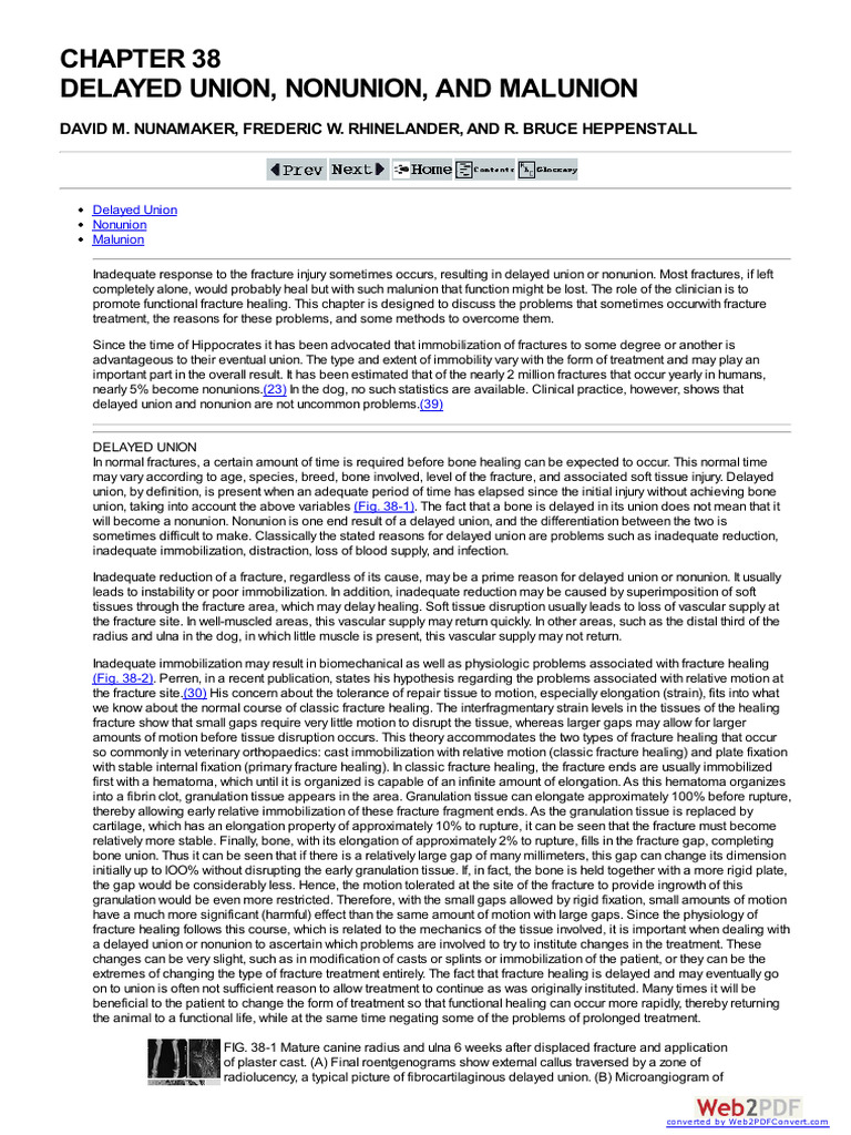 Fracture Healing: Delayed Union & Nonunion | PDF | Bone | Anode