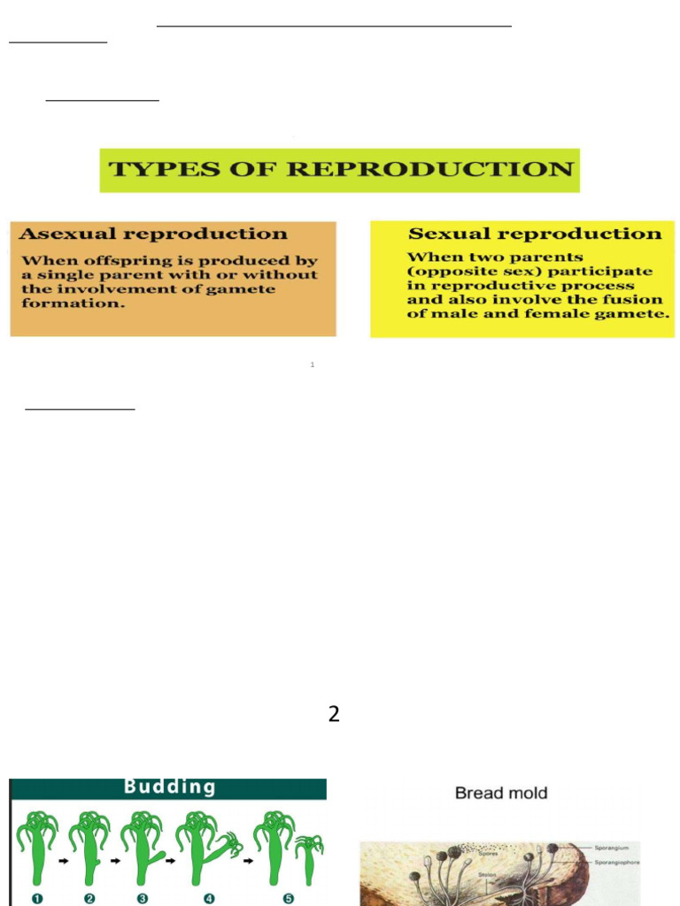 Biology of Reproduction in Plants | PDF