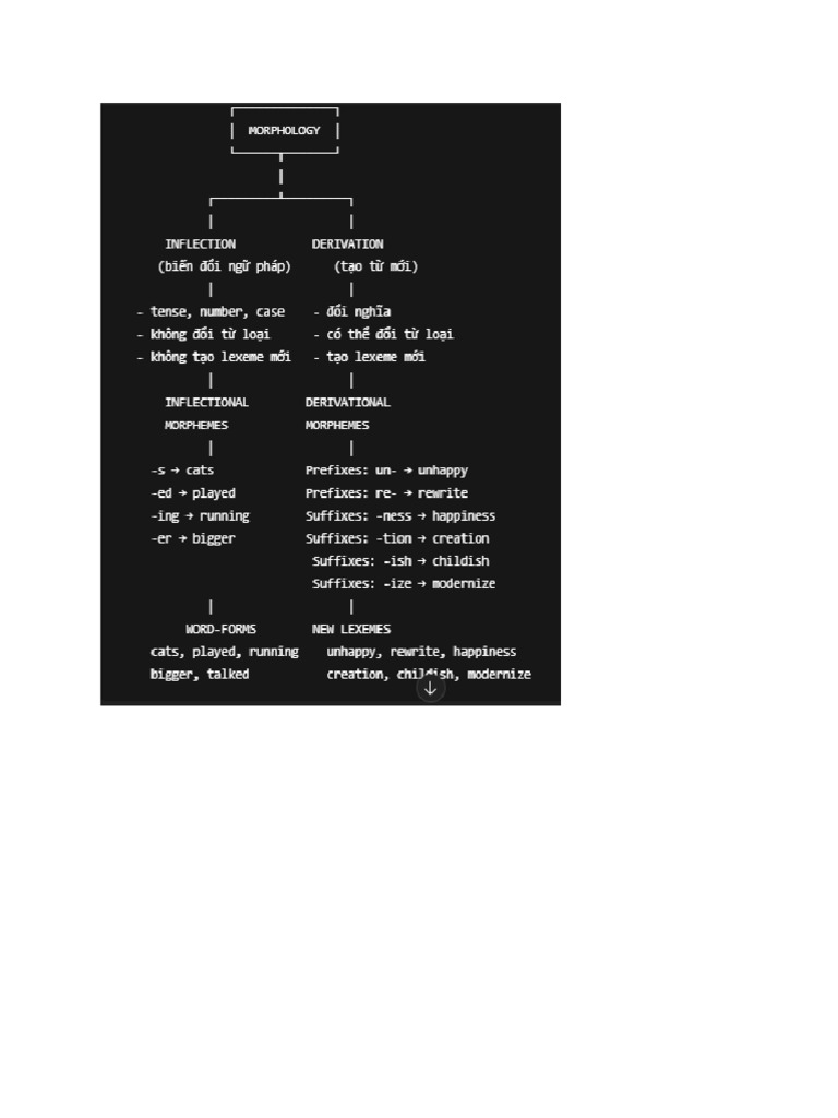 Mor | PDF