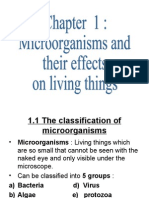 Chapter 1: Microorganisms