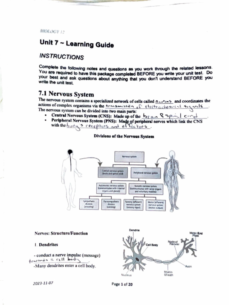 Unit 7 | PDF