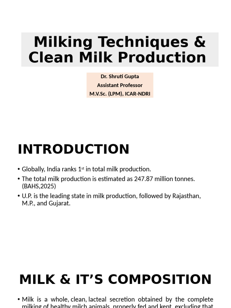 Milking Techniques for Clean Milk Production | PDF | Dairy | Milk