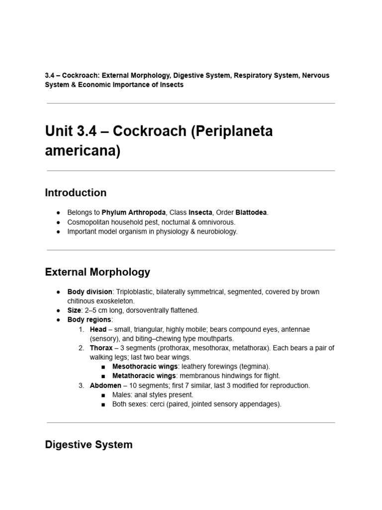 Cockroach Anatomy and Importance Overview | PDF | Insects | Zoology
