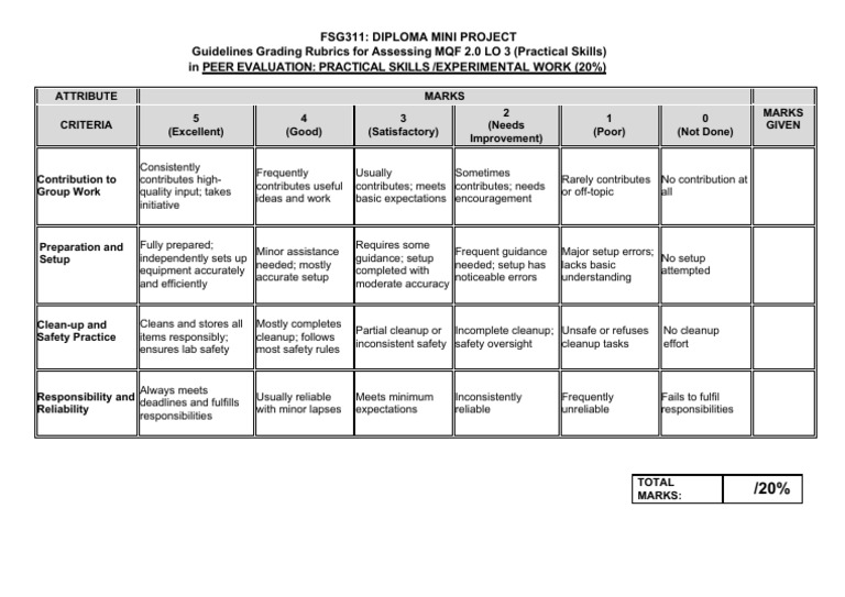 Fsg311 Rubrics Peer Evaluation (20) | PDF | Reliability Engineering