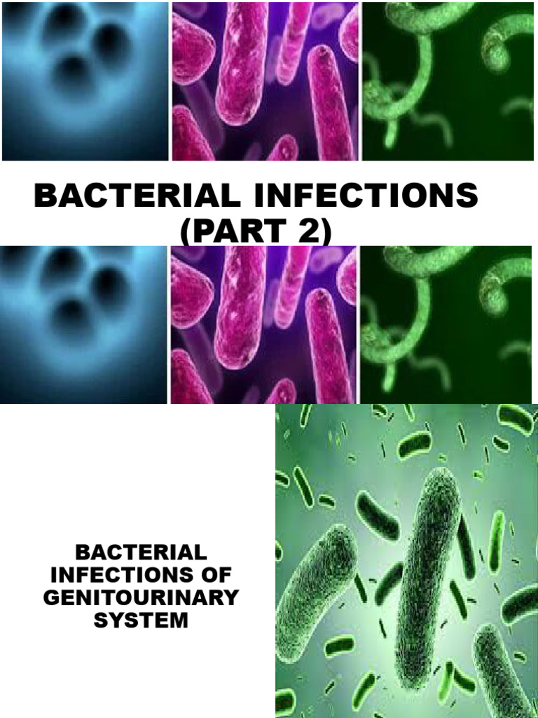Bacterial Infections of the Urinary System | PDF | Urinary Tract ...