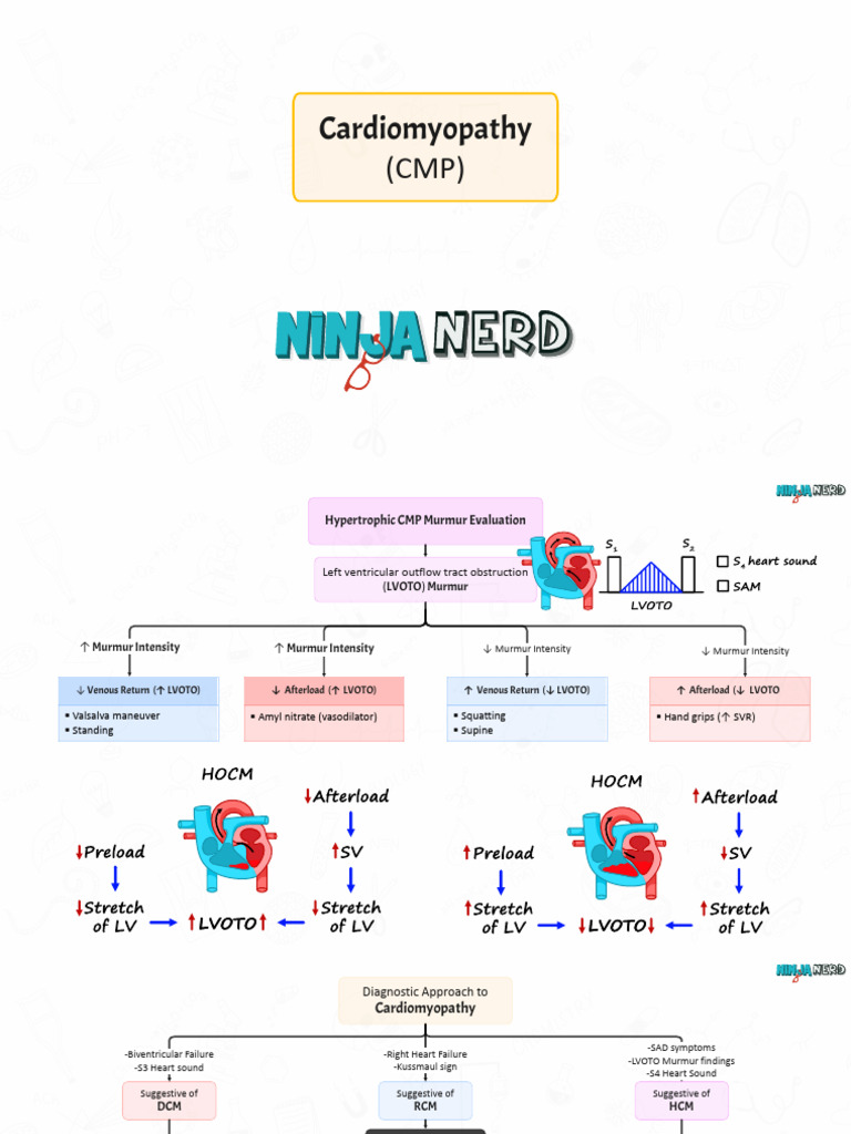 Cardiomyopathy Diagnosis and Treatment Guide | PDF | Heart | Cardiology