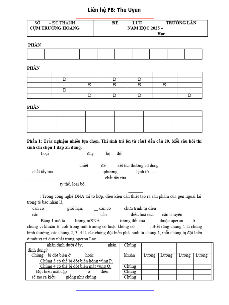 HDC đề HSG T10 1 | PDF