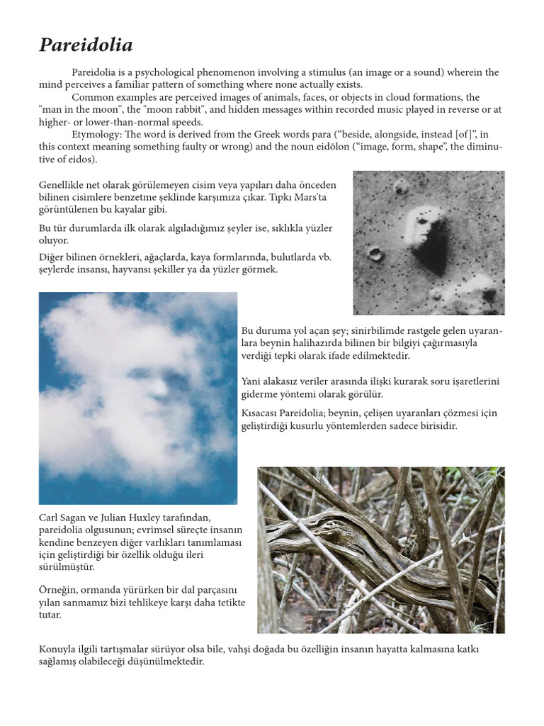 Pareidolia | PDF