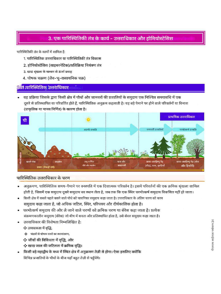 3 - Functions of An Ecosystem - Succession and Homeostasis | PDF