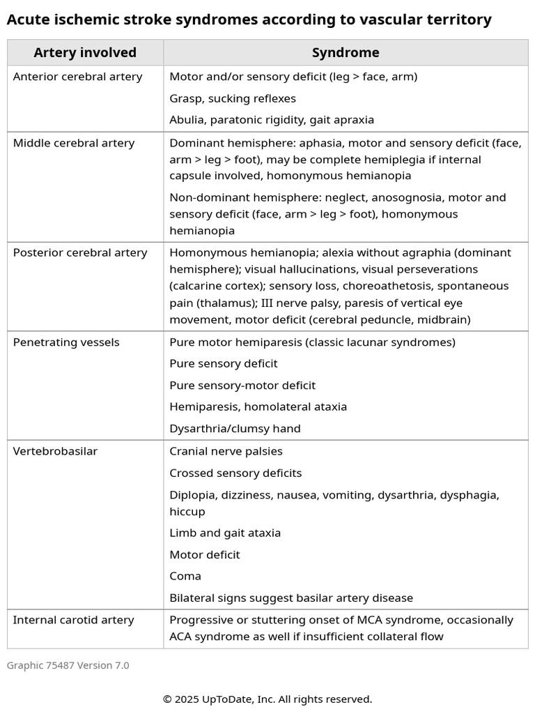 Acute Ischemic Stroke Syndromes by Artery | PDF