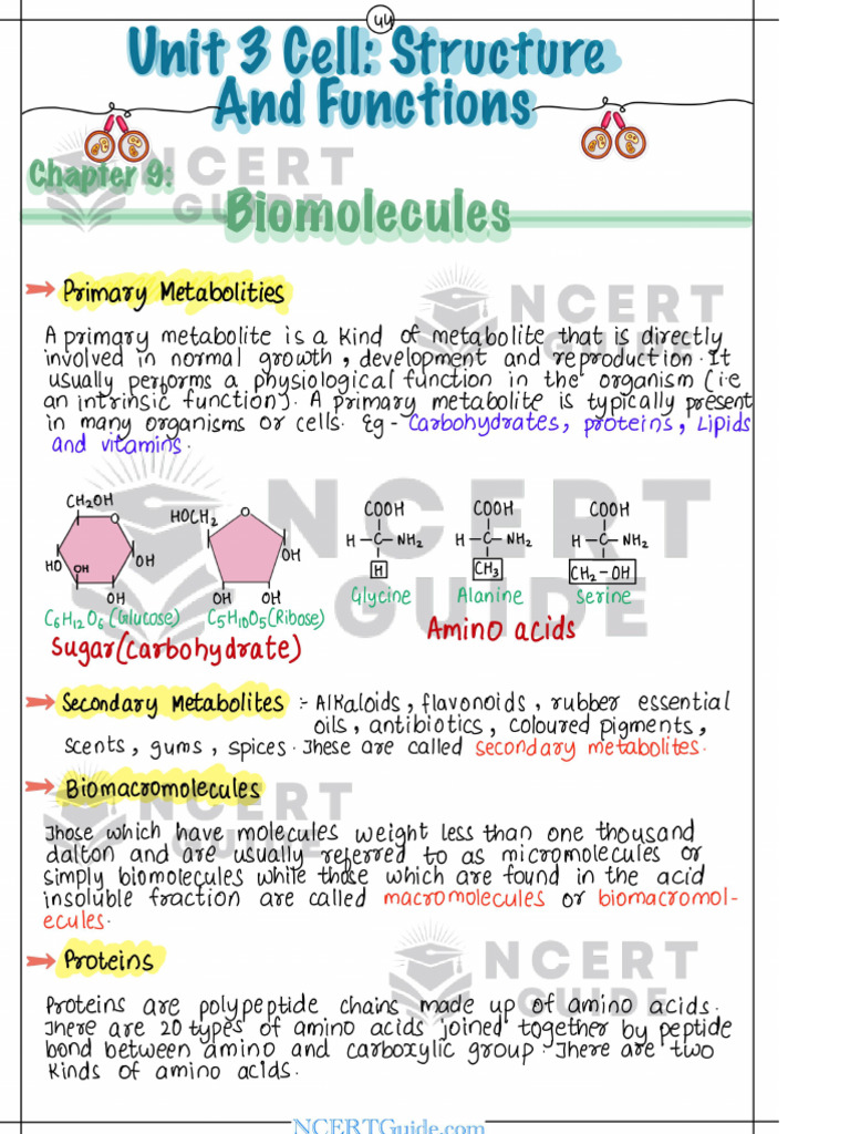 Bio 5chapter Short Notes | PDF
