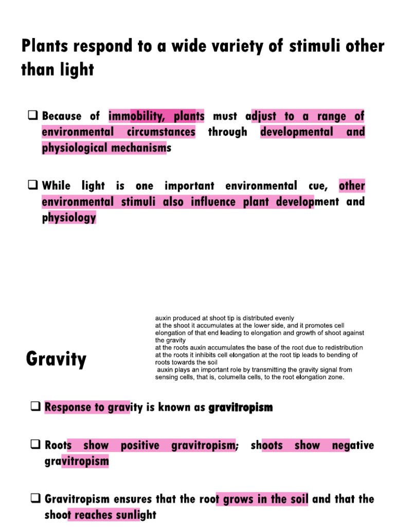 Lecture 9 Plant Responses To Environmental Stimuli Asab | PDF