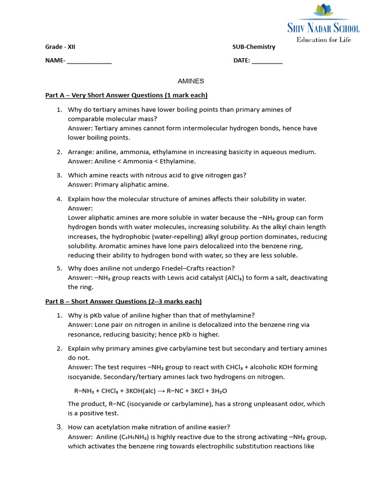 Understanding Amines: Properties & Reactions | PDF | Amine | Chemical ...