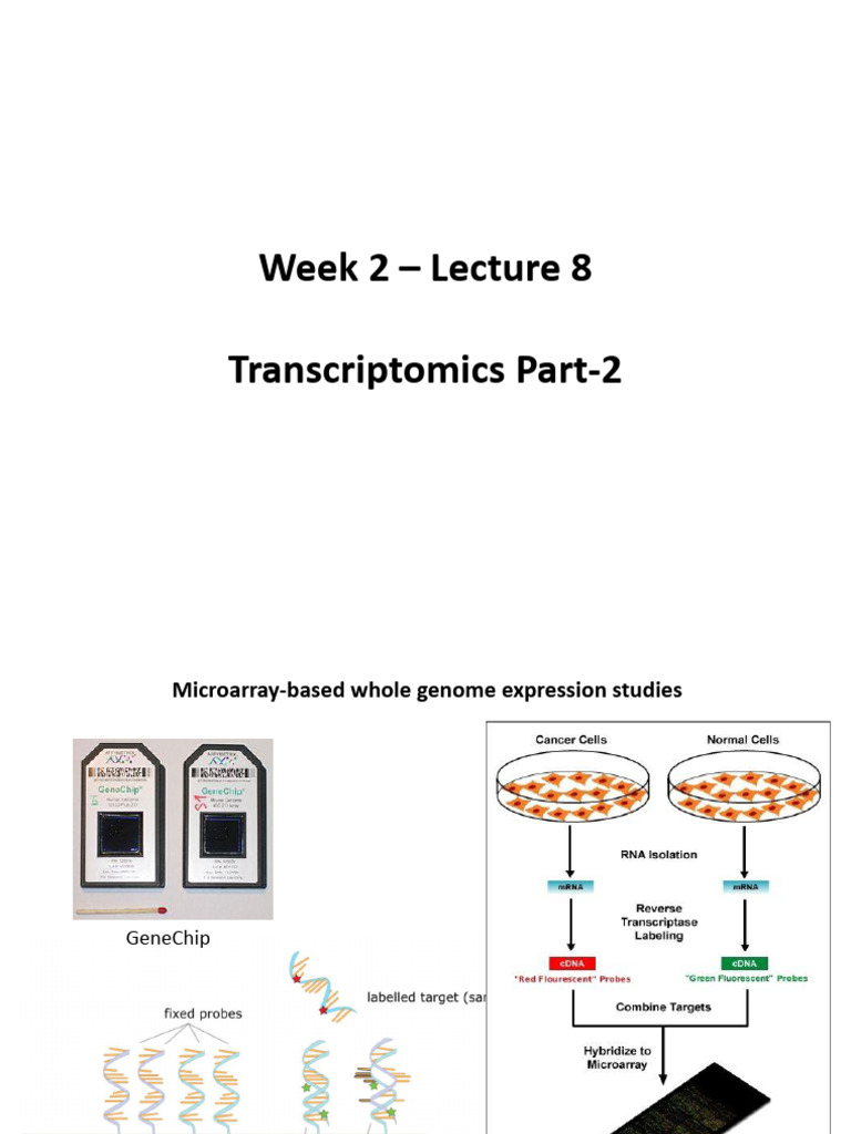 Microarray Techniques in Transcriptomics | PDF | Reverse Transcription ...