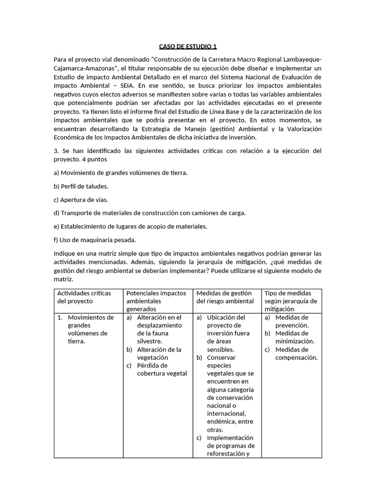 Impacto Ambiental en Proyectos Viales y Mineros | PDF | Evaluación de ...