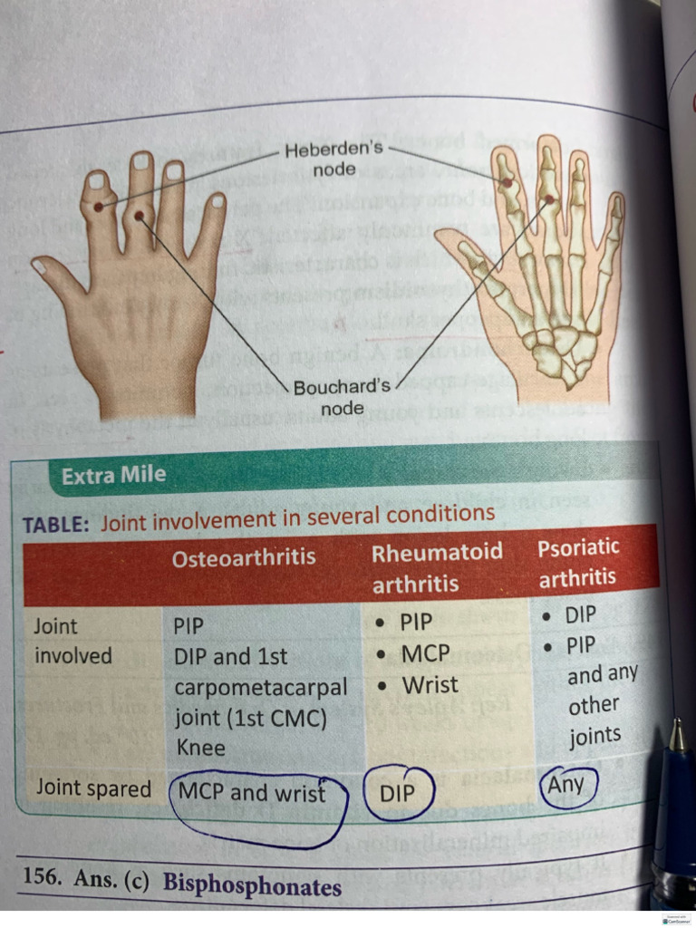 Ortho2 | PDF