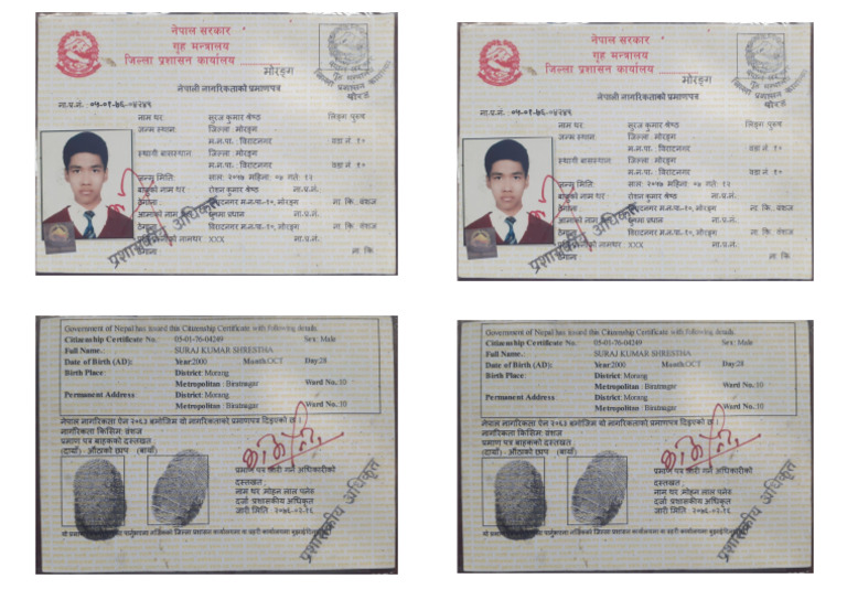 My Citizenship | PDF
