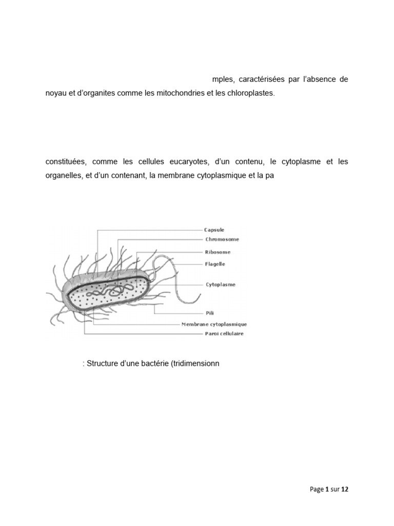 Structure cellulaire des bactéries expliquée | PDF | Plasmide | Cellule ...