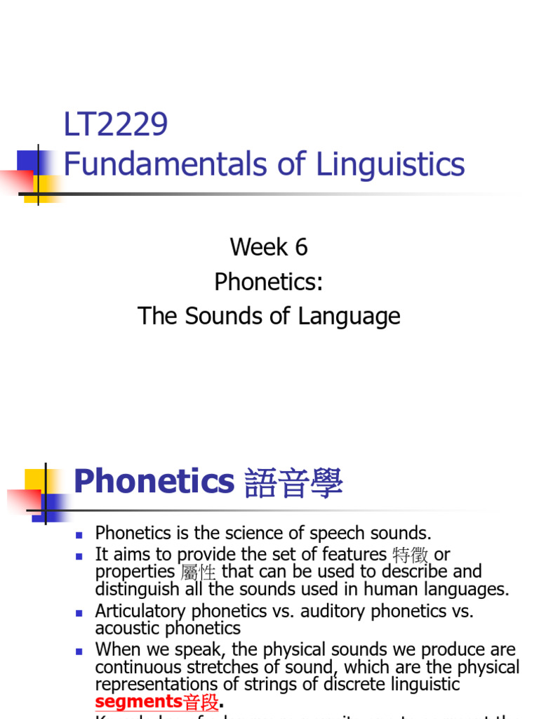 Phonetics: Understanding Speech Sounds | PDF | Phonetics | Vowel