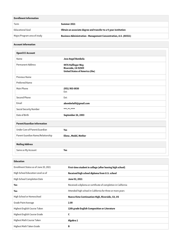Student Enrollment Information Summary | PDF | English As A Second Or ...
