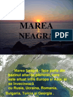 Marea Neagra