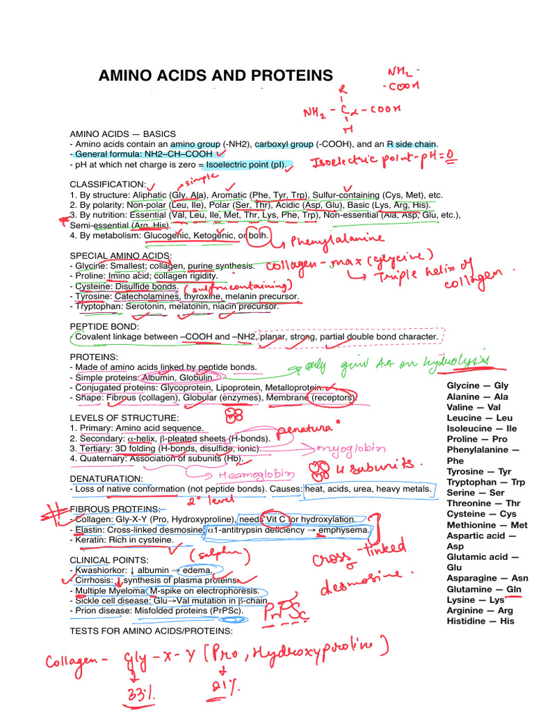 Amino Acids and Proteins Overview | PDF | Amino Acid | Cysteine