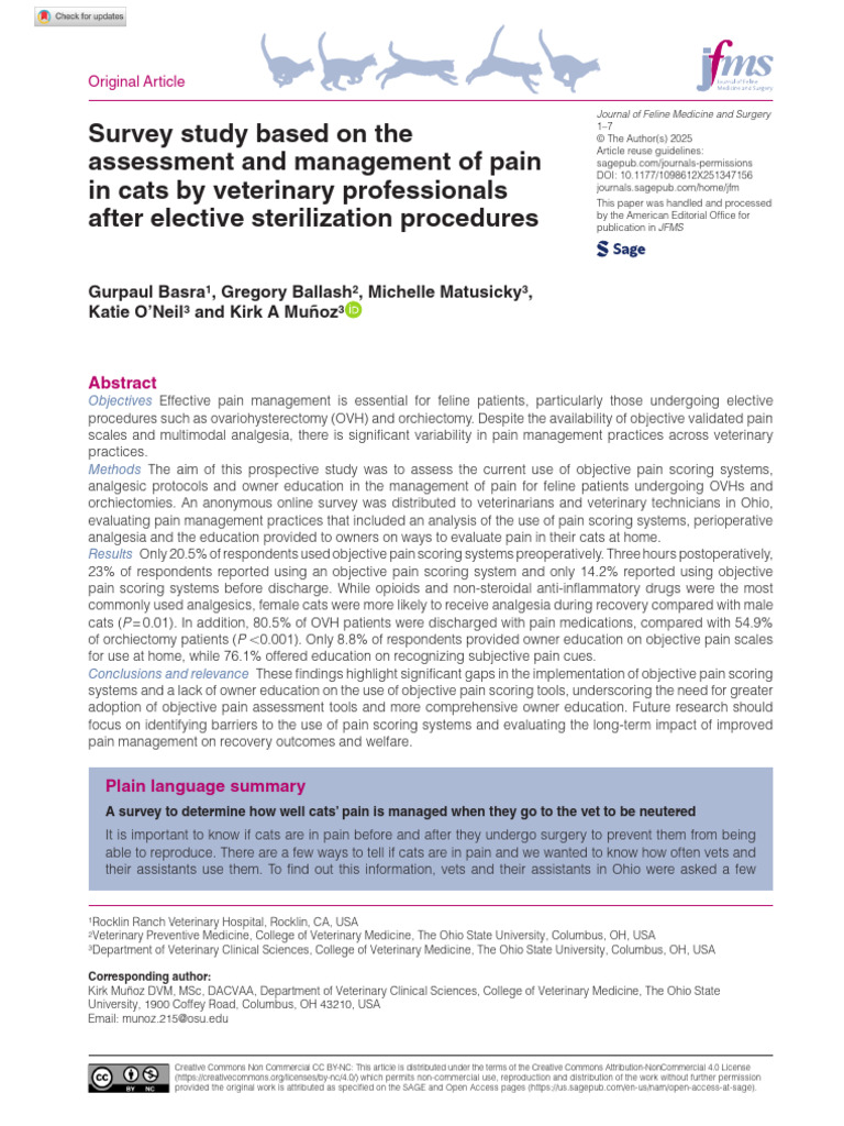 Pain Management In Cats Post Surgery Pdf Analgesic Photo Inspiration