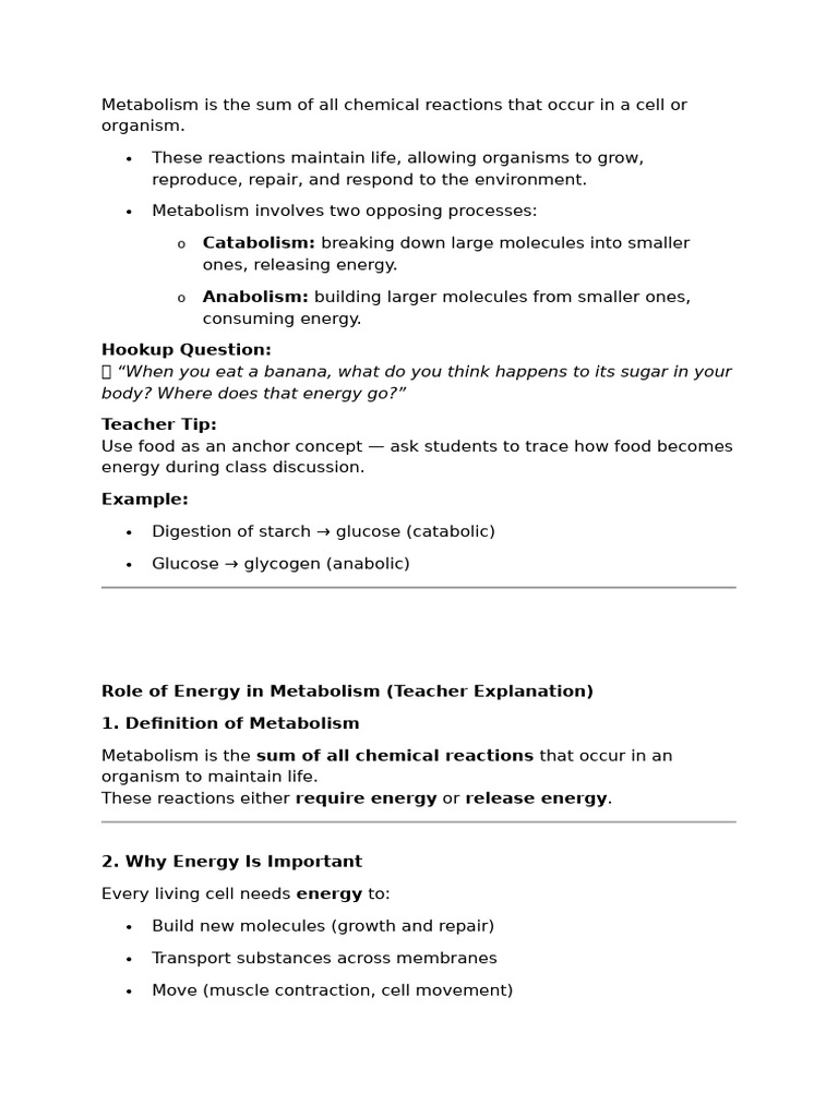 Understanding Metabolism and Energy | PDF | Enzyme | Metabolism
