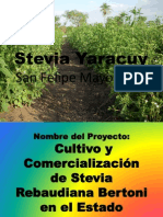 ProyectoStevia Yaracuy San Felipe Mayo 2012