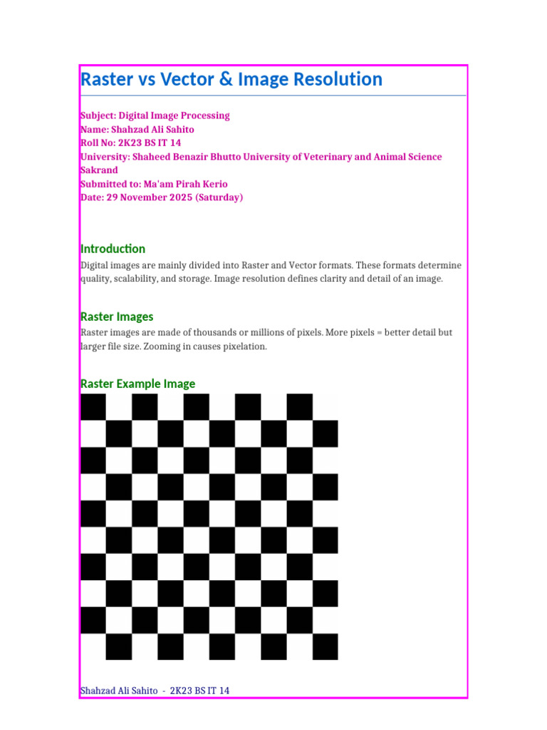 Raster Vector Assignment Updated | PDF