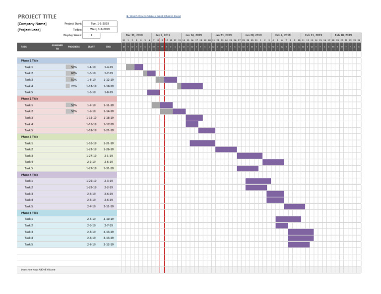 Project Task Timeline and Progress | PDF
