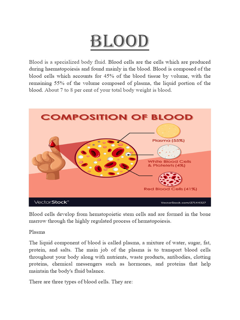 Blood Composition and Functions Explained | PDF | Granulocyte | White ...