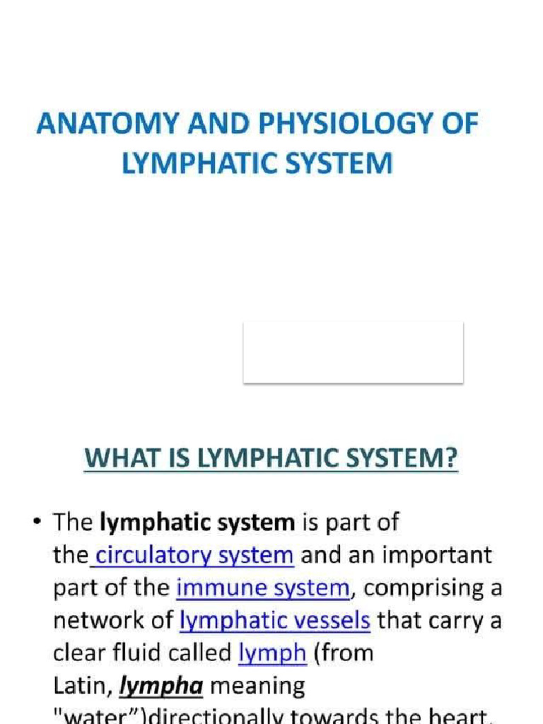 Lymphatic System | PDF