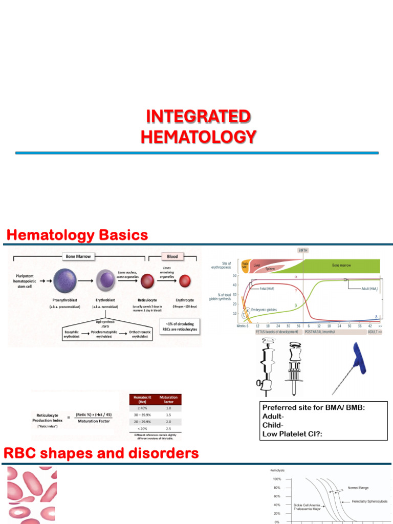 Comprehensive Hematology Overview | PDF | Vitamin B12 | Anemia