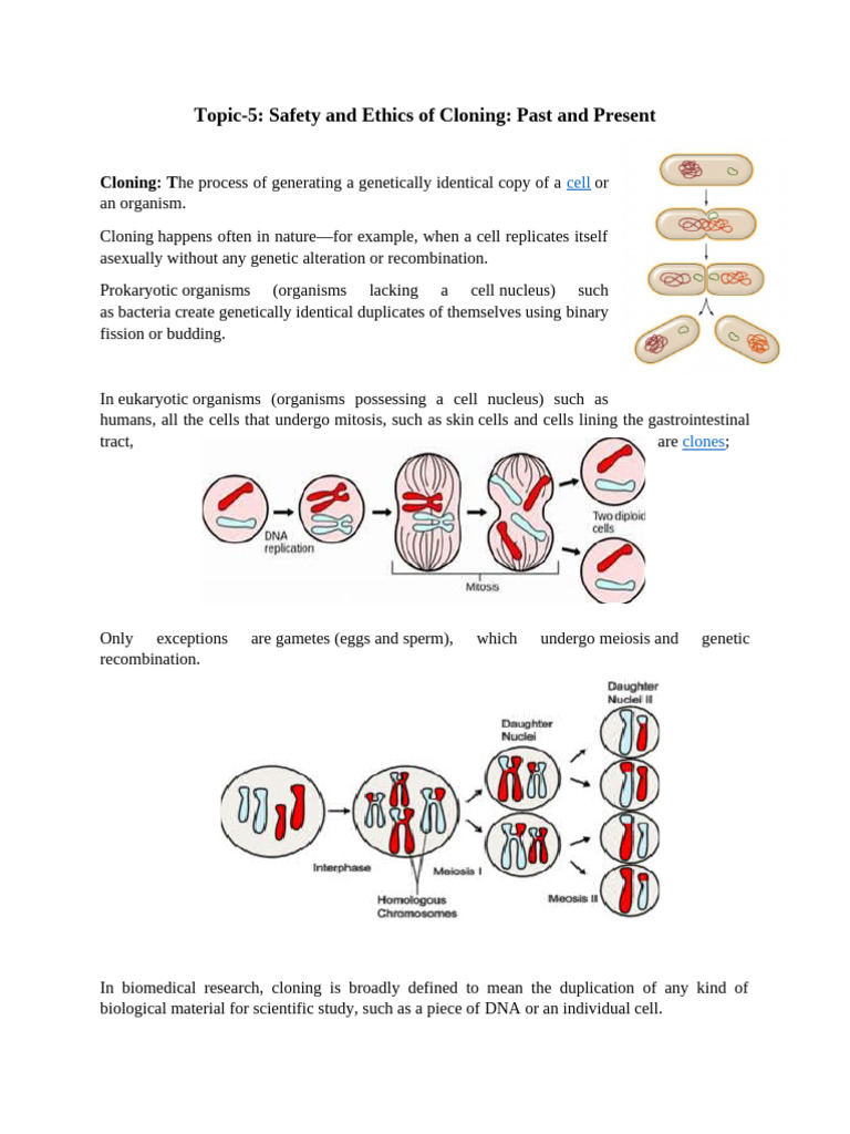 Cloning Safety and Ethics Overview | PDF | Cloning | Reproduction