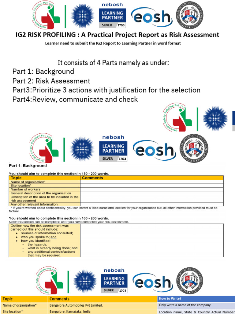 IG2 Risk Assessment Project Report | PDF | Occupational Safety And ...
