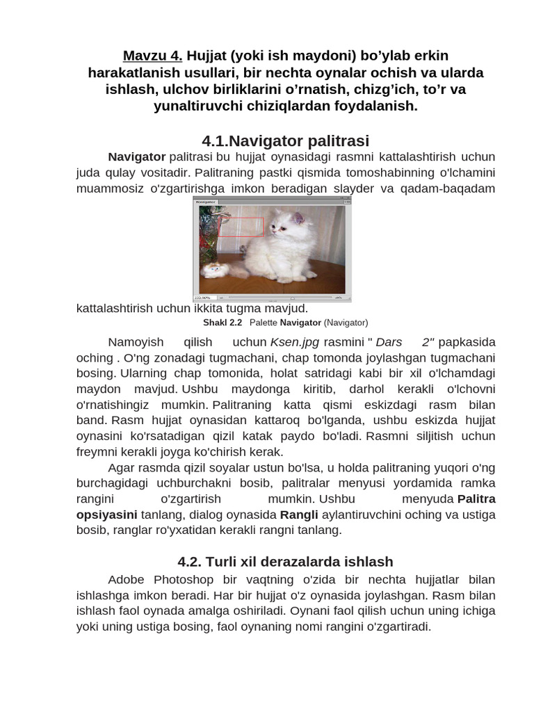 4 Mavzu - Leksiya 1 | PDF